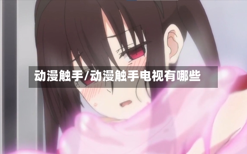 动漫触手/动漫触手电视有哪些