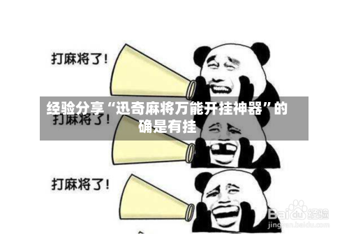 经验分享“迅奇麻将万能开挂神器”的确是有挂-第2张图片