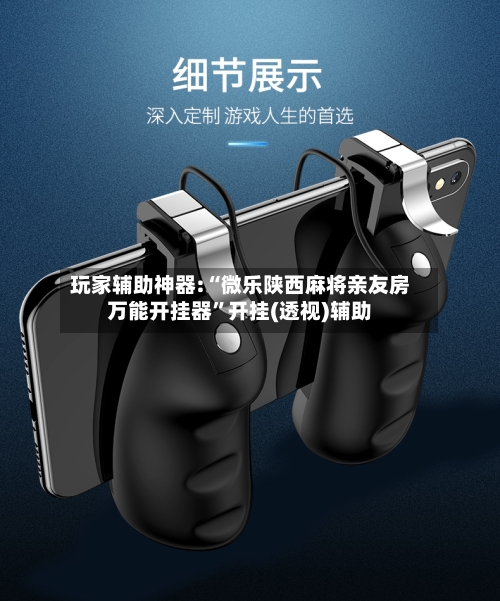 玩家辅助神器:“微乐陕西麻将亲友房万能开挂器	”开挂(透视)辅助-第3张图片