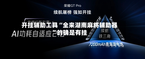 开挂辅助工具“全来湖南麻将辅助器”的确是有挂-第3张图片