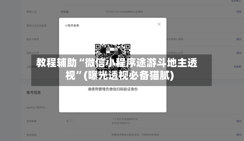 教程辅助“微信小程序途游斗地主透视”(曝光透视必备猫腻)-第3张图片