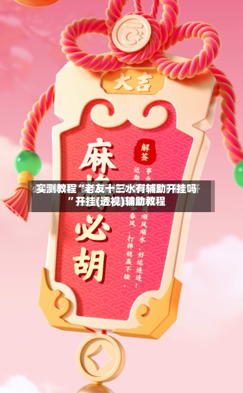 实测教程“老友十三水有辅助开挂吗”开挂(透视)辅助教程-第3张图片