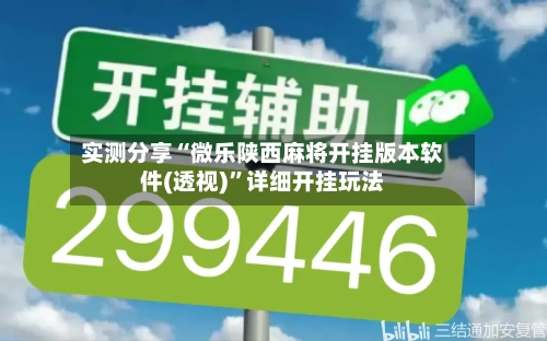 实测分享“微乐陕西麻将开挂版本软件(透视)”详细开挂玩法