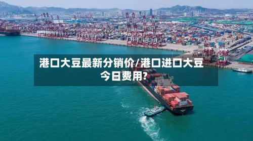 港口大豆最新分销价/港口进口大豆今日费用?-第2张图片