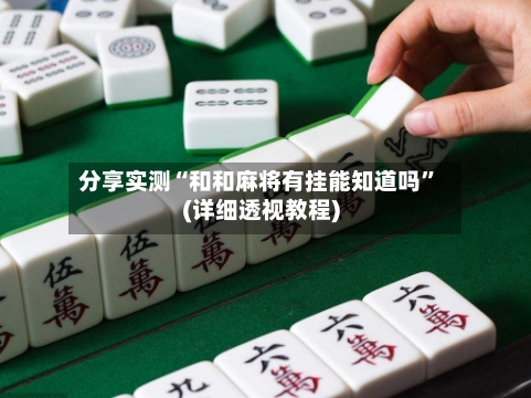 分享实测“和和麻将有挂能知道吗”(详细透视教程)-第2张图片