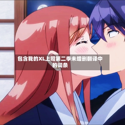 包含我的XL上司第二季未增删翻译中的词条