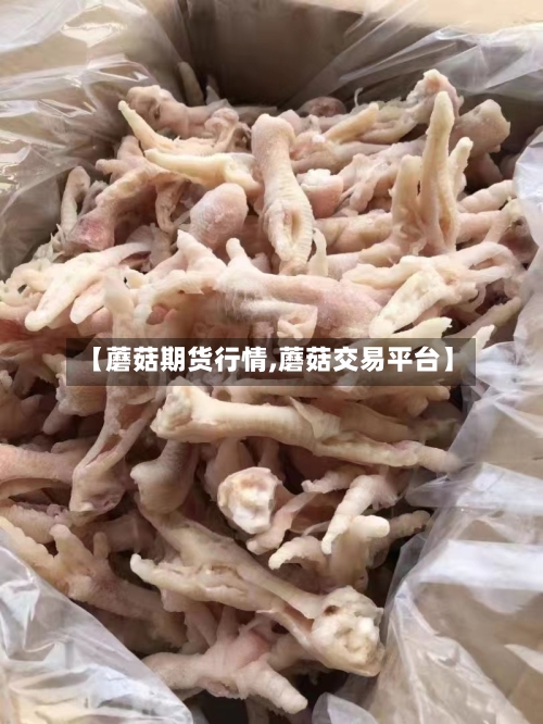 【蘑菇期货行情,蘑菇交易平台】-第3张图片