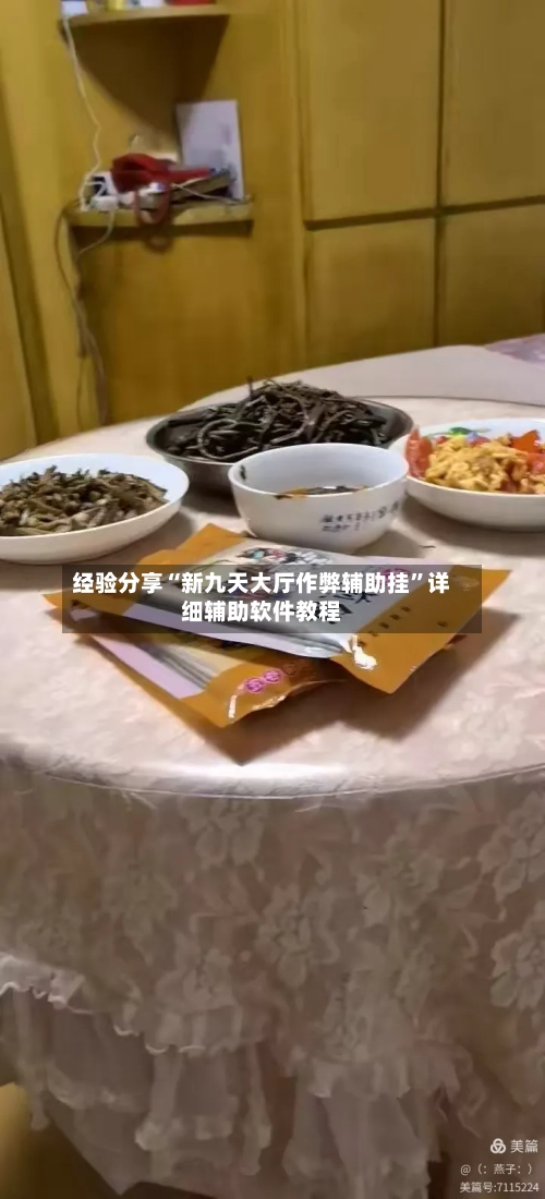 经验分享“新九天大厅作弊辅助挂”详细辅助软件教程-第2张图片