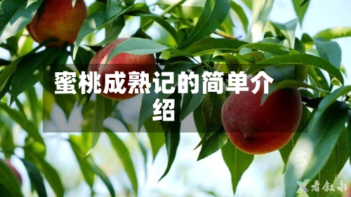 蜜桃成熟记的简单介绍