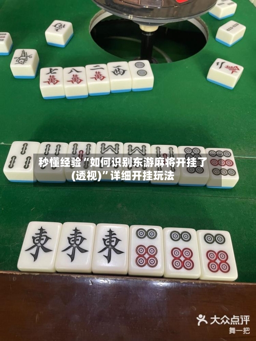 秒懂经验“如何识别东游麻将开挂了(透视)”详细开挂玩法-第2张图片