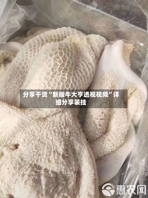 分享干货“新版牛大亨透视视频”详细分享装挂-第2张图片