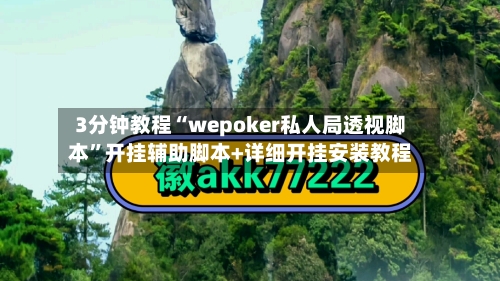 3分钟教程“wepoker私人局透视脚本	”开挂辅助脚本+详细开挂安装教程-第3张图片