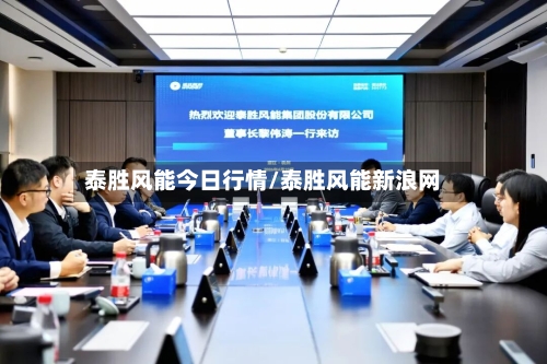 泰胜风能今日行情/泰胜风能新浪网-第3张图片