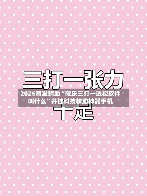 2026首发辅助“微乐三打一透视软件叫什么	”开挂科技辅助神器手机-第2张图片