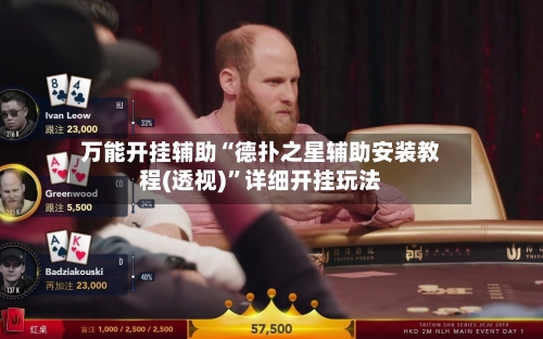 万能开挂辅助“德扑之星辅助安装教程(透视)”详细开挂玩法-第2张图片