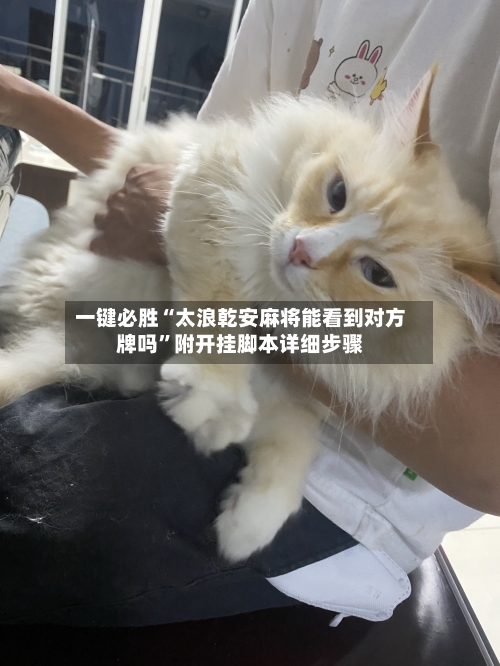 一键必胜“太浪乾安麻将能看到对方牌吗”附开挂脚本详细步骤-第2张图片