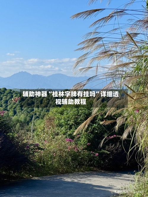 辅助神器“桂林字牌有挂吗”详细透视辅助教程-第2张图片