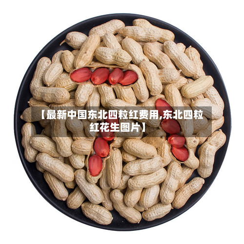 【最新中国东北四粒红费用,东北四粒红花生图片】