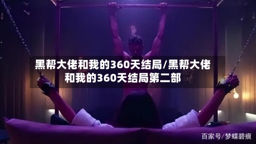 黑帮大佬和我的360天结局/黑帮大佬和我的360天结局第二部-第2张图片