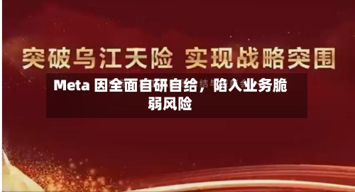 Meta 因全面自研自给，陷入业务脆弱风险
