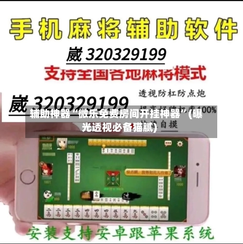 辅助神器“微乐免费房间开挂神器”(曝光透视必备猫腻)-第3张图片