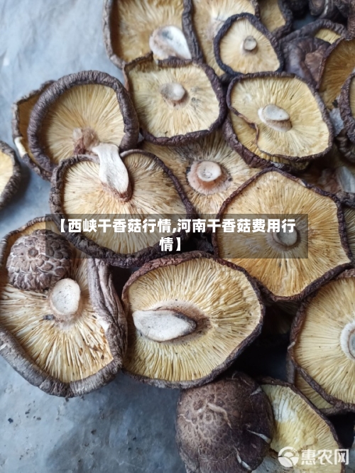 【西峡干香菇行情,河南干香菇费用行情】-第2张图片