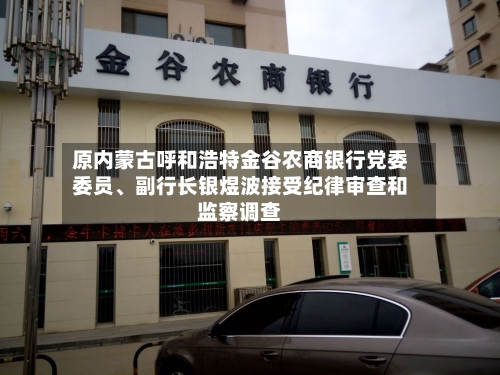 原内蒙古呼和浩特金谷农商银行党委委员、副行长银煜波接受纪律审查和监察调查