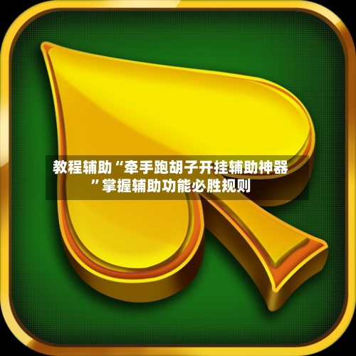 教程辅助“牵手跑胡子开挂辅助神器”掌握辅助功能必胜规则-第3张图片