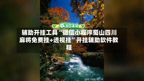 辅助开挂工具“微信小程序蜀山四川麻将免费挂+透视挂”开挂辅助软件教程-第3张图片