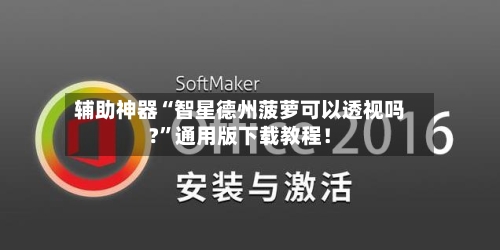 辅助神器“智星德州菠萝可以透视吗?”通用版下载教程！-第2张图片