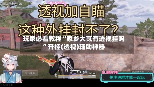 玩家必看教程“家乡大贰有透视挂吗”开挂(透视)辅助神器-第2张图片