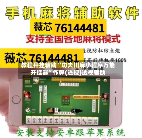 教程开挂辅助“功夫川麻小程序万能开挂器”作弊(透视)透视辅助-第3张图片