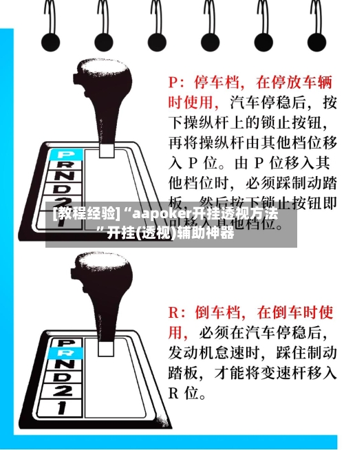 [教程经验]“aapoker开挂透视方法”开挂(透视)辅助神器-第2张图片