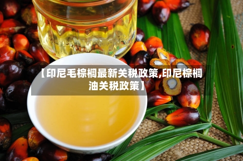 【印尼毛棕榈最新关税政策,印尼棕榈油关税政策】-第2张图片
