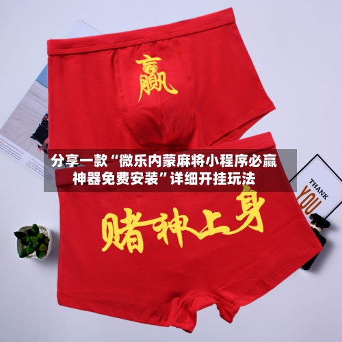 分享一款“微乐内蒙麻将小程序必赢神器免费安装”详细开挂玩法-第3张图片