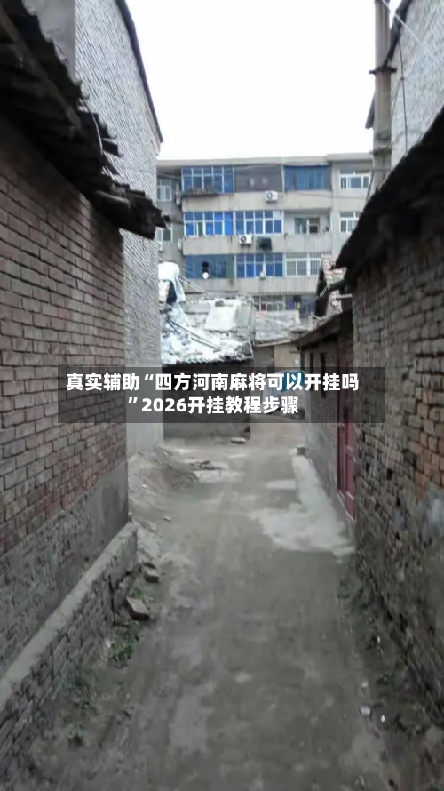 真实辅助“四方河南麻将可以开挂吗”2026开挂教程步骤-第2张图片