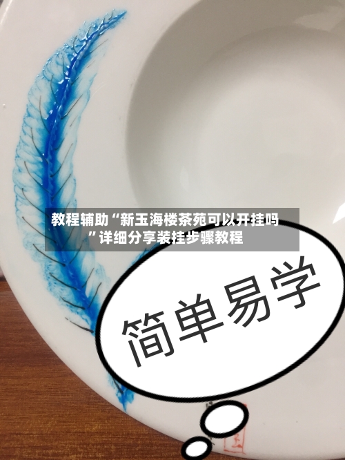 教程辅助“新玉海楼茶苑可以开挂吗”详细分享装挂步骤教程-第3张图片