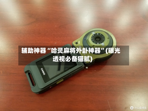 辅助神器“哈灵麻将外卦神器	”(曝光透视必备猫腻)-第2张图片