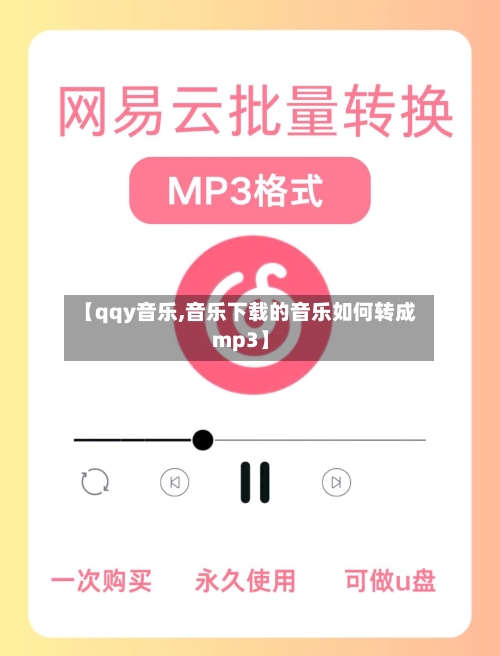 【qqy音乐,音乐下载的音乐如何转成mp3】-第2张图片