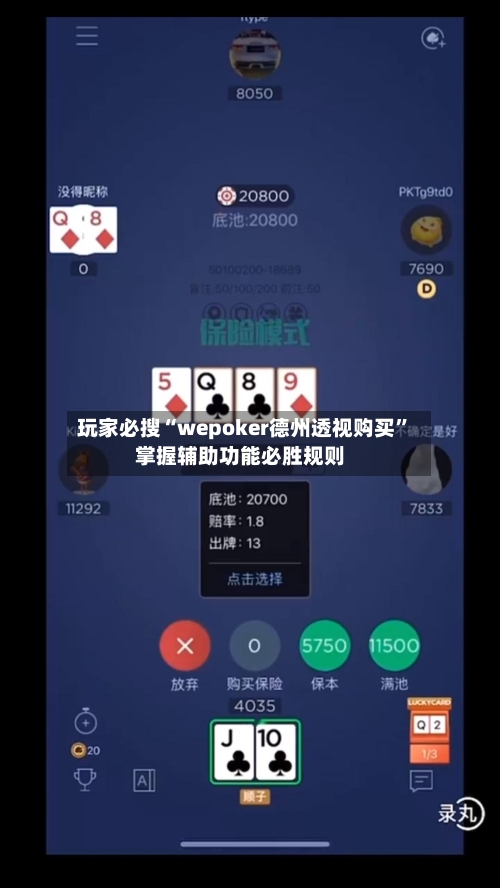 玩家必搜“wepoker德州透视购买”掌握辅助功能必胜规则-第3张图片
