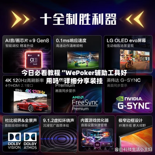 今日必看教程“WePoker辅助工具好用吗	”详细分享装挂-第2张图片
