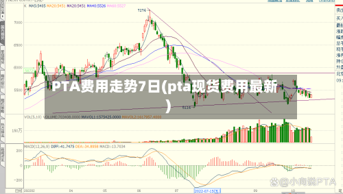 PTA费用走势7日(pta现货费用最新)-第2张图片