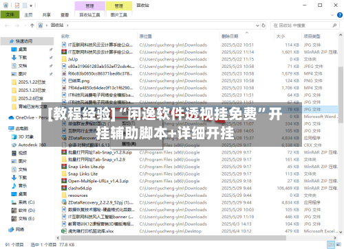 [教程经验]“闲逸软件透视挂免费”开挂辅助脚本+详细开挂-第2张图片