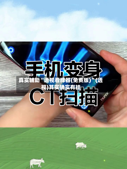 真实辅助“透视看牌器(免费版)	”(透视)其实确实有挂-第2张图片