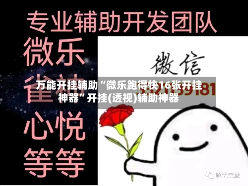 万能开挂辅助“微乐跑得快16张开挂神器	”开挂(透视)辅助神器-第3张图片