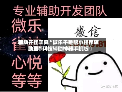 辅助开挂工具“微乐干瞪眼小程序辅助器”科技辅助神器手机版-第3张图片