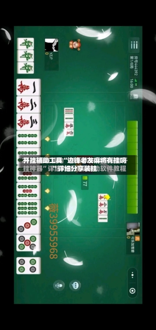 开挂辅助工具“边锋老友麻将有挂吗	”详细分享装挂-第2张图片