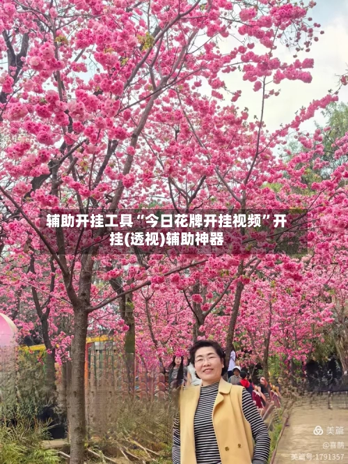 辅助开挂工具“今日花牌开挂视频”开挂(透视)辅助神器-第2张图片