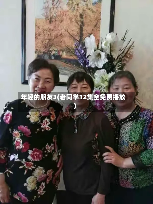年轻的朋友3(老同学12集全免费播放)