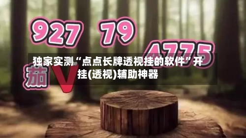 独家实测“点点长牌透视挂的软件”开挂(透视)辅助神器
